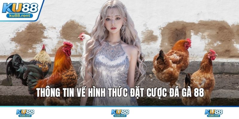 Thông tin về hình thức đặt cược đá gà 88